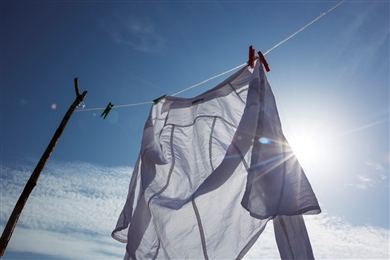 V�A�b�v�V�F�C�p�[EMS,����,����