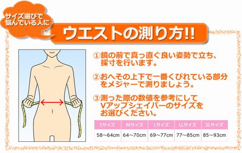 V�A�b�v�V�F�C�p�[EMS,�T�C�Y,�I�ѕ�